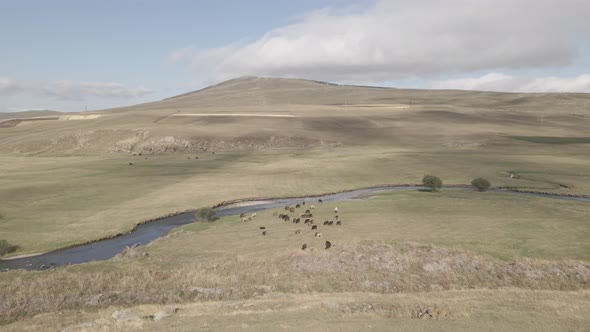Aerial view of Paravani river floating in Saghamo Lake. Samtskhe-Javakheti, Georgia alt