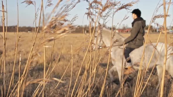 A girl riding her white horse through a reed field in winter time in slow motion. alt