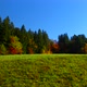 Intensive Blue Sky and Deep Green Forest - VideoHive Item for Sale