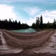 360 VR Virtual Reality of a Wild Forest - VideoHive Item for Sale