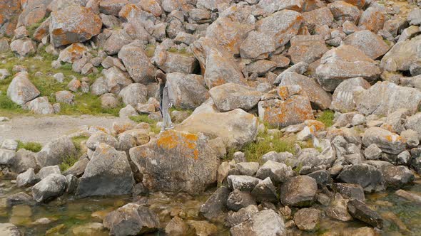 Girl is standing on a granite stones Summer Baikal lake Olkhon island alt