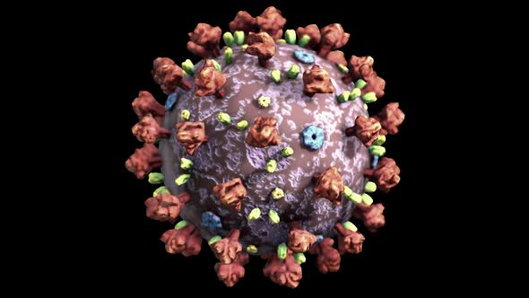 Animated Seamless Loop of the Coronavirus with Transparent Background