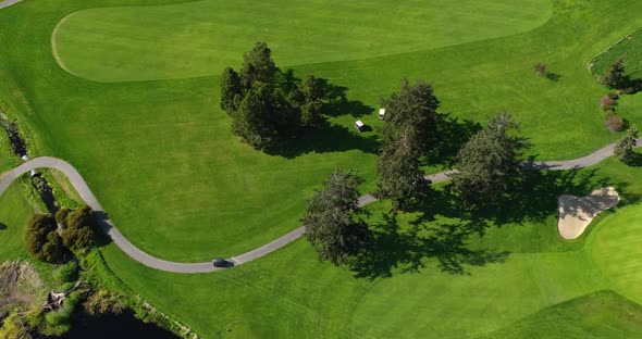Aerial shot of golf carts meandering through the green searching for their balls. alt