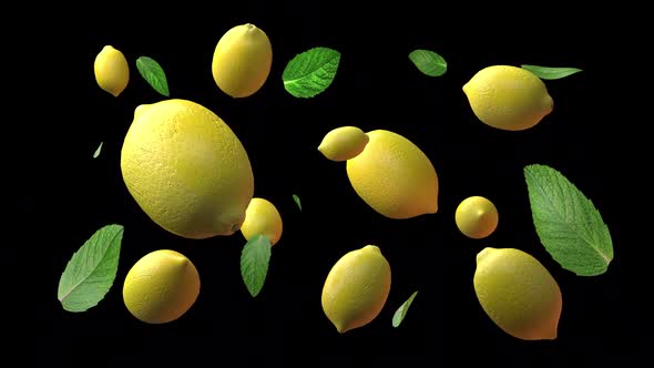 Lemon Fruit And Mint Leaves