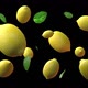 Lemon Fruit And Mint Leaves - VideoHive Item for Sale