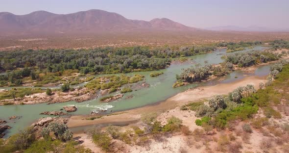 River and Palm Trees