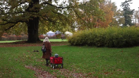 Woman with a child in wagon walking in an autumn park