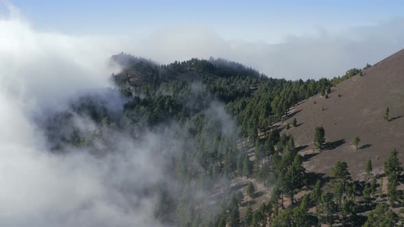 Aerial View of Volcanic Landscape In La Palma Island