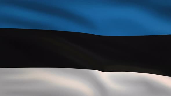 Estonia Windy Flag Background 4 K alt