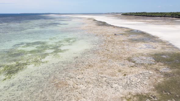 Shore of Zanzibar Island Tanzania at Low Tide alt