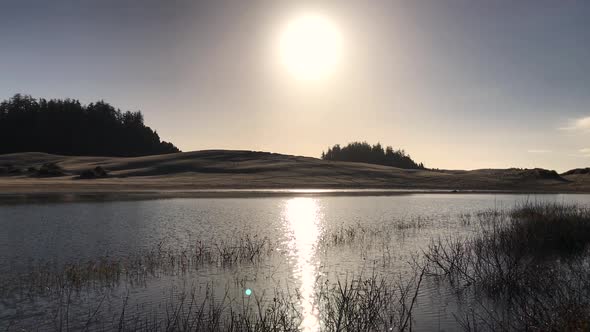 Oregon Dunes National Recreation area near Reedsport and Winchester Bay, and off Highway 101, is a p alt