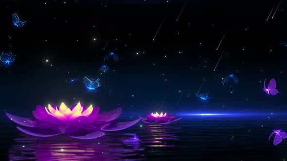 Beautiful Water Surface Butterfly Flying Meteor Shower Light Background