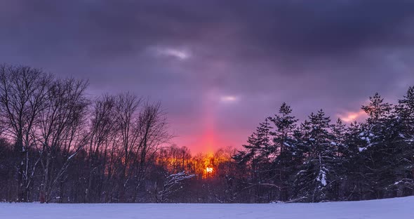 Cold Sunset in Winter Forest with Sun Light Pillar