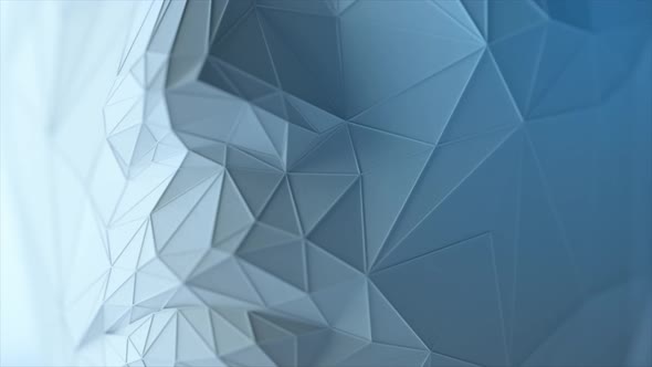 Creates a Polygonal Digital Human Face alt