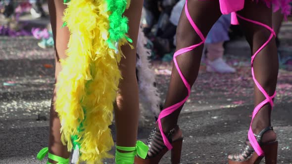 The Traditional Celebration of Fun and Dance is the Carnival the Feet of the Participants in the alt