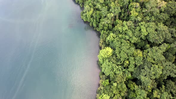 Vista aérea del mar y bosque tropical alt
