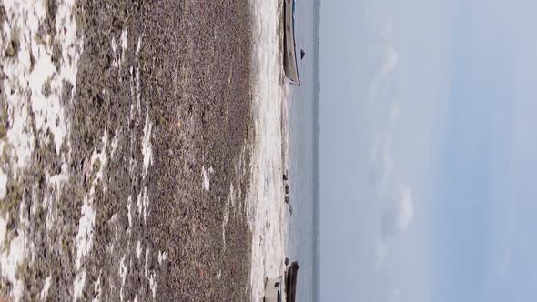 Vertical Video of Low Tide in the Ocean Near the Coast of Zanzibar Tanzania Aerial View alt