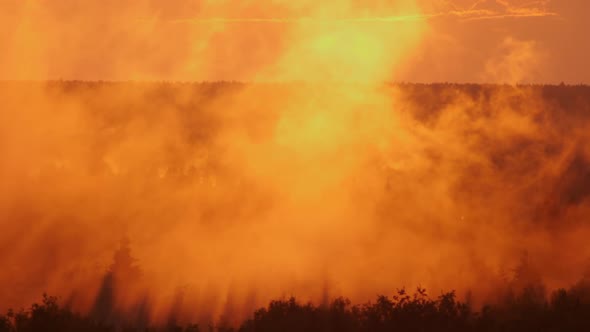 Beautiful Red Sunset in Summer From Above in the Forest with Fog alt