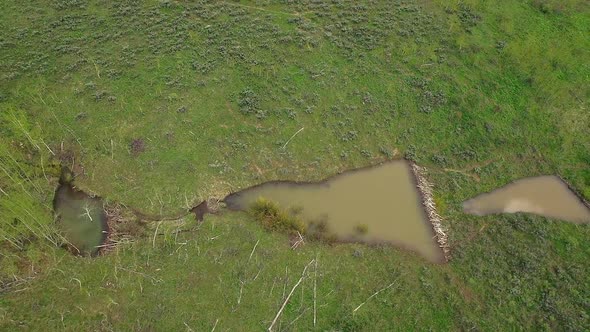 Aerial view panning over beaver ponds in green landscape alt