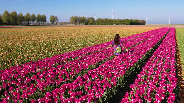 Attractive woman in a nice flowery dress walking through endless tulips field in spring, aerial view