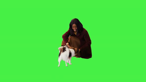 Pretty African Girl With Her Friend Dog Papillon on a Green Screen Chroma Key