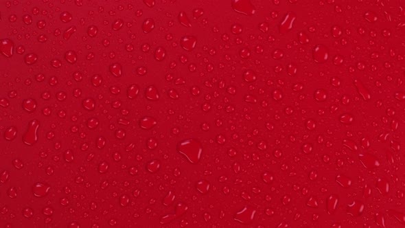 Rotating Red Background with Water Drops Top View