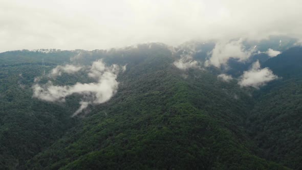 Flying Over an Amazing Rain Forest, Aerial View Above Rain Forest with Fog at Sunrise. Aerial Video alt