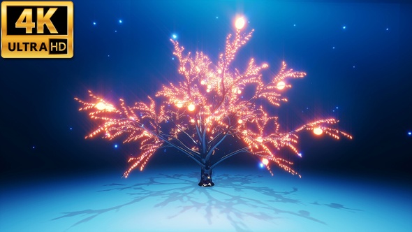 Magic Tree 4k