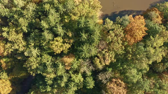 Aerial View Over Alpine Forest Durring Sunset in Autumn alt