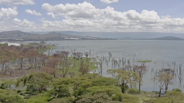 Aerial View of the Lake Nakuru National Park in Kenya alt