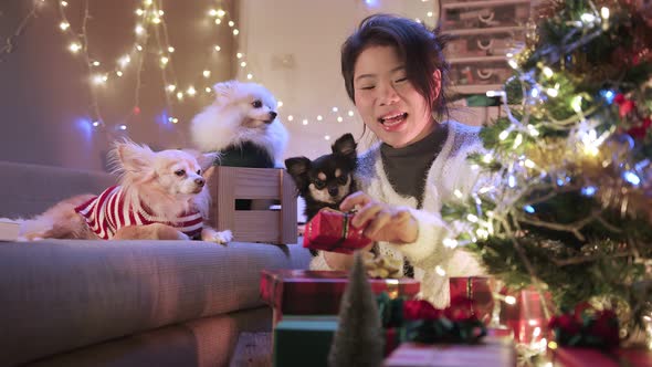 happiness festive holiday with asian female smiling hand arrange decorate christmas tree alt