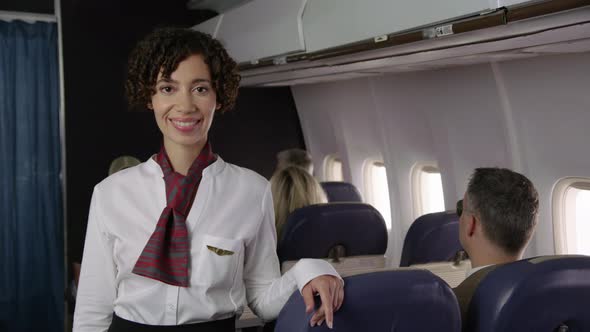 Portrait of airliner flight attendant