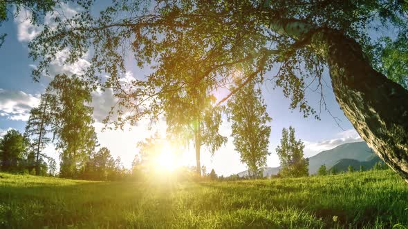Mountain Meadow Timelapse at the Summer or Autumn Time alt