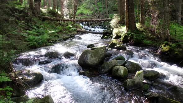 Beauty Stream on Mountain