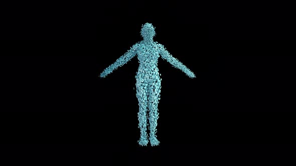 Assembling an abstract person. alt