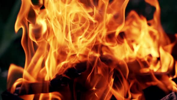 Detailed motion of orange flame on the black background. Close-up bright fantastic flame alt