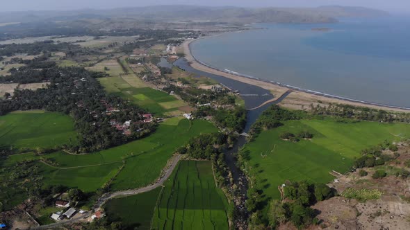 Beautiful aerial view clip of beach shore, green rice paddy near beach nature landscape view.