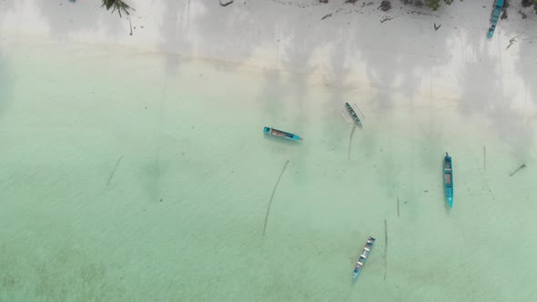 Aerial: top down over coral reef uncontaminated coastline tropical caribbean sea alt