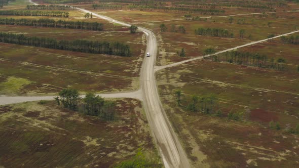 Vehicle drives down countryside road through Blueberry fields Aerial tracking backward alt