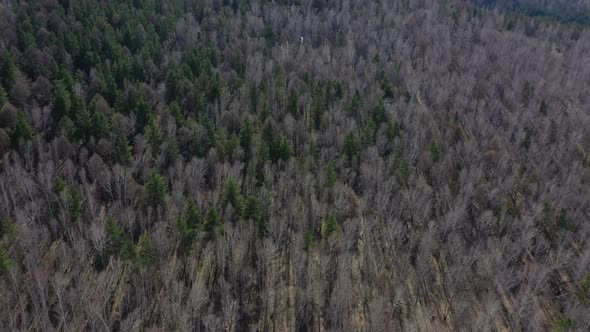 Birch grove aerial view 11