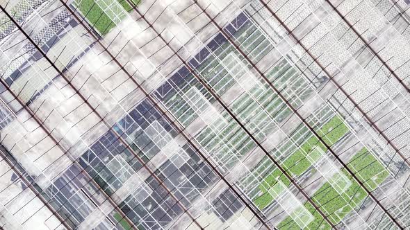 Aerial View Greenhouse Plantation with Greenery alt