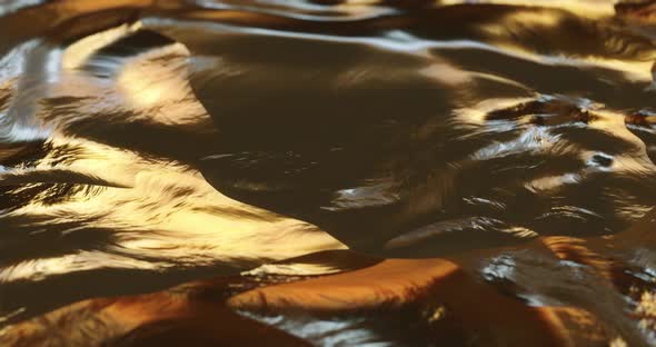 Abstract gold liquid with animated reflections. Golden wave and ripple motion alt