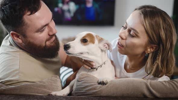 A Man and a Woman the Owners of a Funny Jack Russell Terrier alt