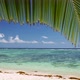 Palm Tree Leaf Peaceful Swaying in Breeze Against Sandy Beach, Turquoise Ocean Waves, Blue Sky and - VideoHive Item for Sale