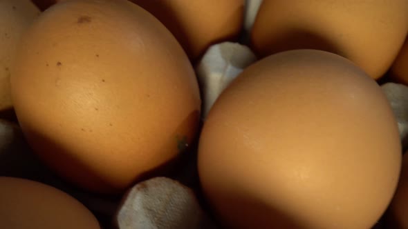 Paning pack of chicken eggs