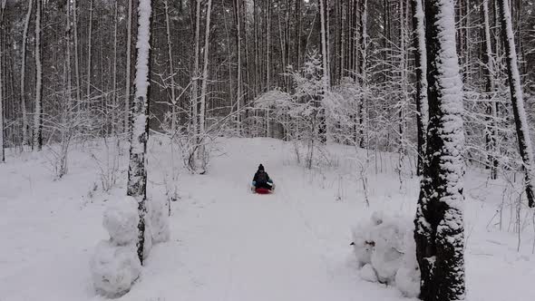 Boy in Winter Clothes Slides Down Snowcovered Hill on Sled in Winter Forest alt