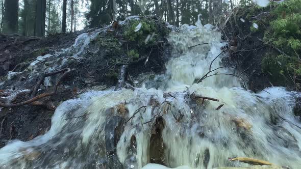 Closer Shot of a Small Waterfall Surrounded By Forest