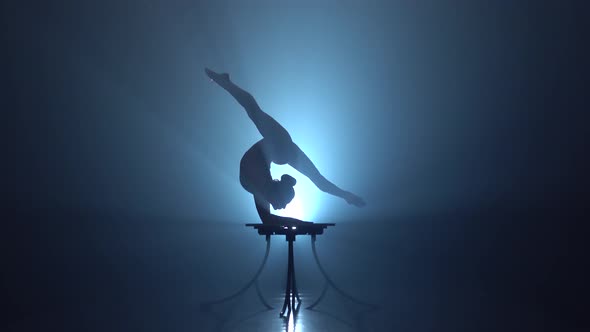 Acrobat Girl in the Circus. Smoke Background. Silhouette alt