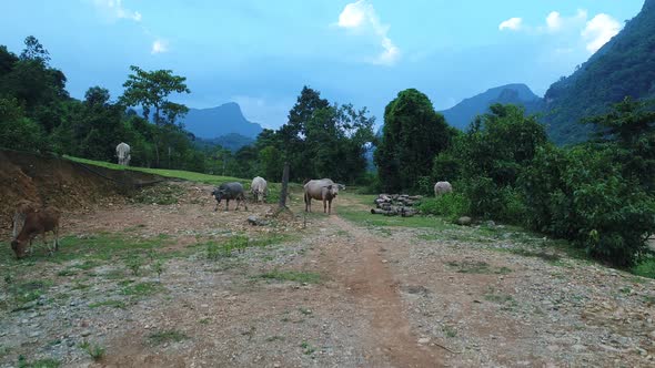 Landscape around the city of Vang Vieng in Laos seen from the sky alt