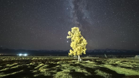 Larch Tree in Kurai Steppe, Mountains and Milky Way at Night. Altai Mountains alt
